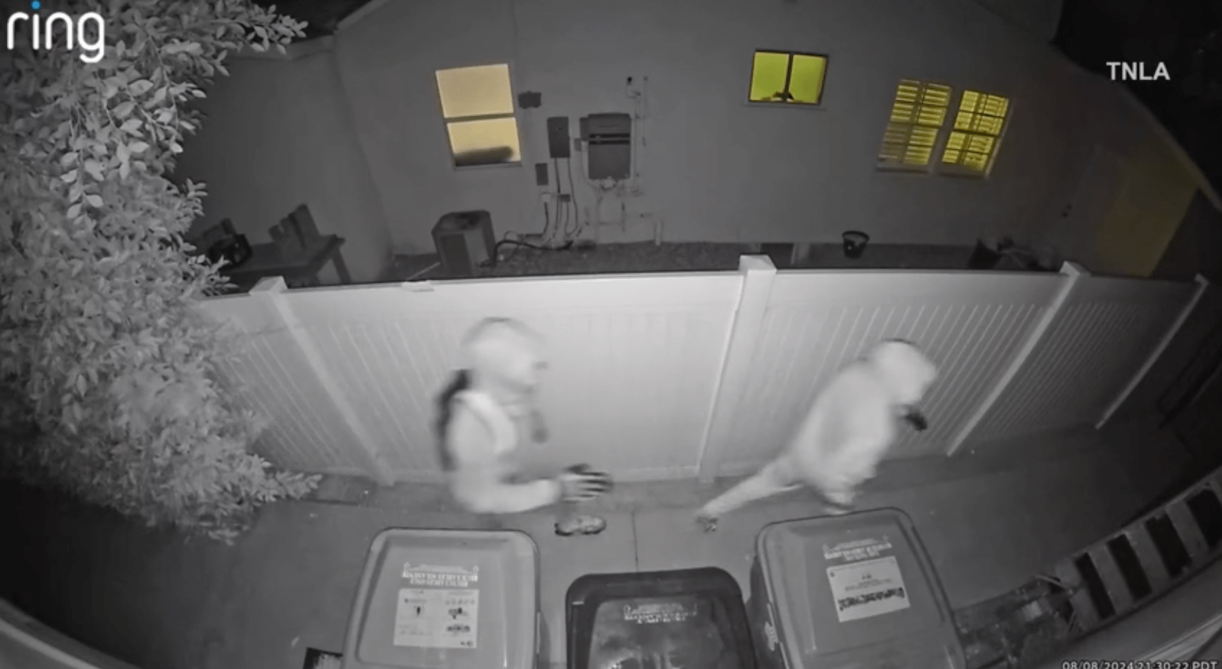 San Fernando Valley burglaries