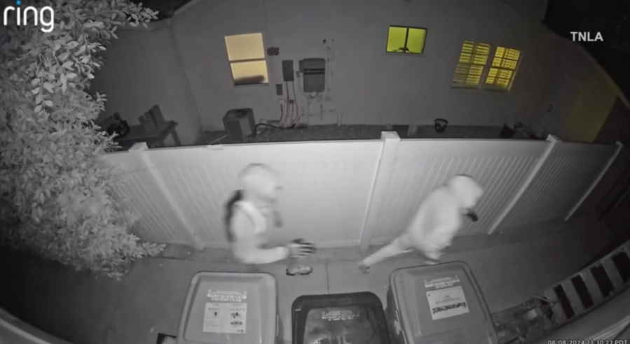 San Fernando Valley burglaries