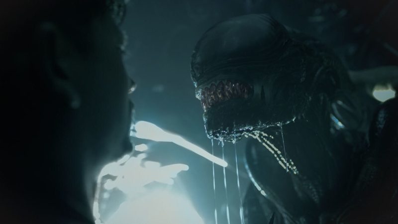 A xenomorph, as seen in 20th Century Studios' "Alien: Romulus" (Photo courtesy of 20th Century Studios)