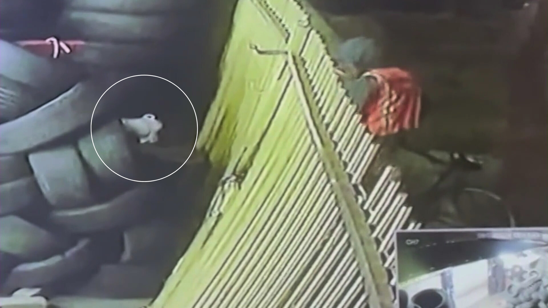 A mystery object was thrown by the suspects onto a pile of tires before flames ignited on August 2, 204. (Vermont Tires)