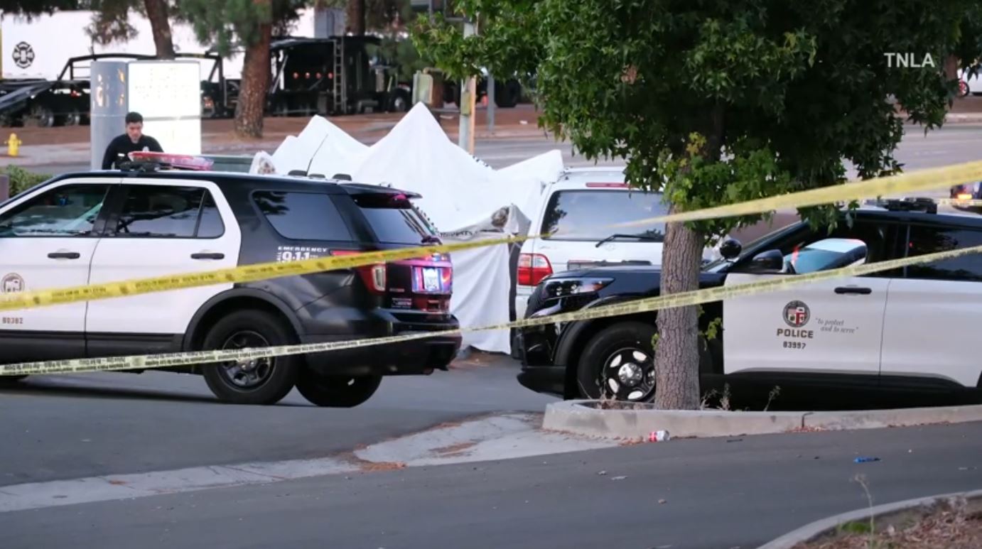 A 61-year-old doctor was shot and killed outside of an urgent care clinic in Woodland Hills on August 23, 2024. (TNLA)