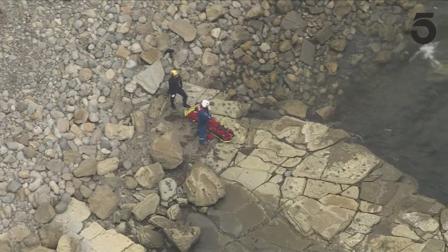 Los Angeles Fire Department crews airlifted a body that was found off a seaside cliff in San Pedro on August 1, 2024. (KTLA)