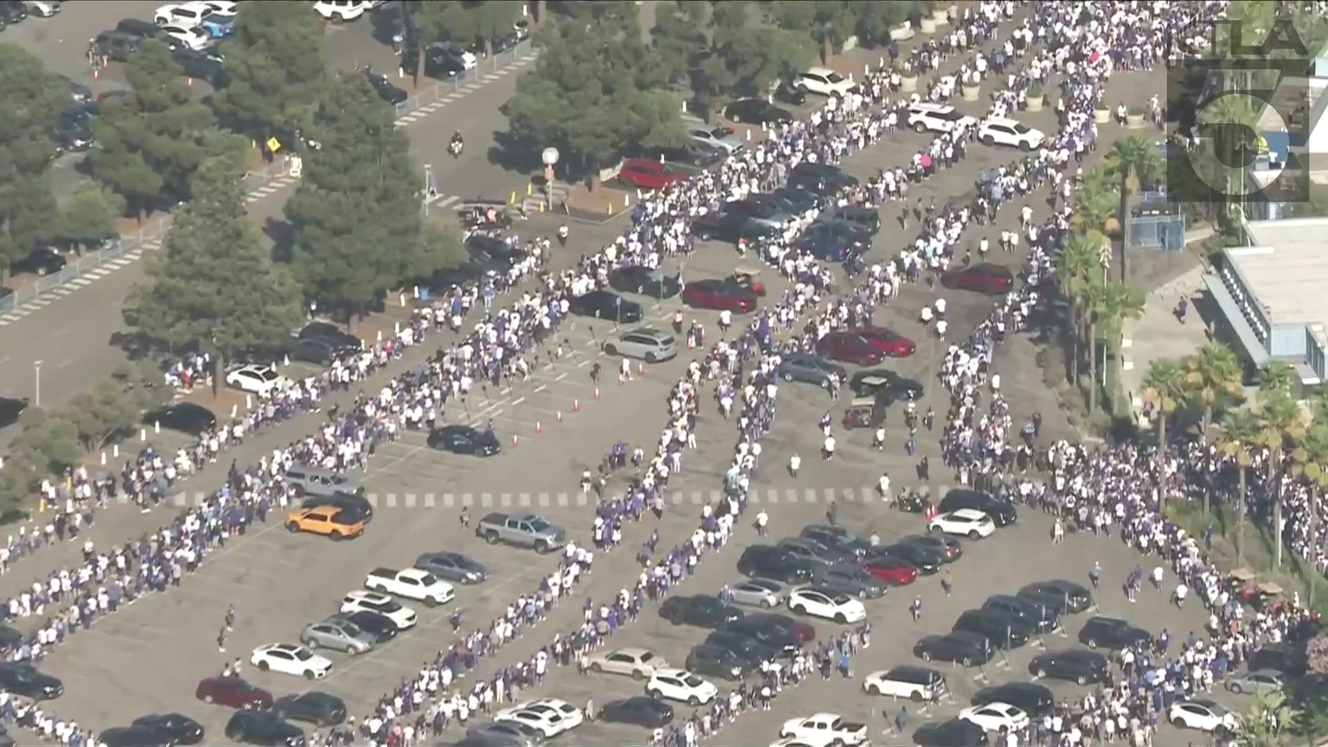 Long lines of eager fans wrapped around Dodger Stadium to receive a special edition Shohei Ohtani bobblehead on August 28, 2024. (KTLA)