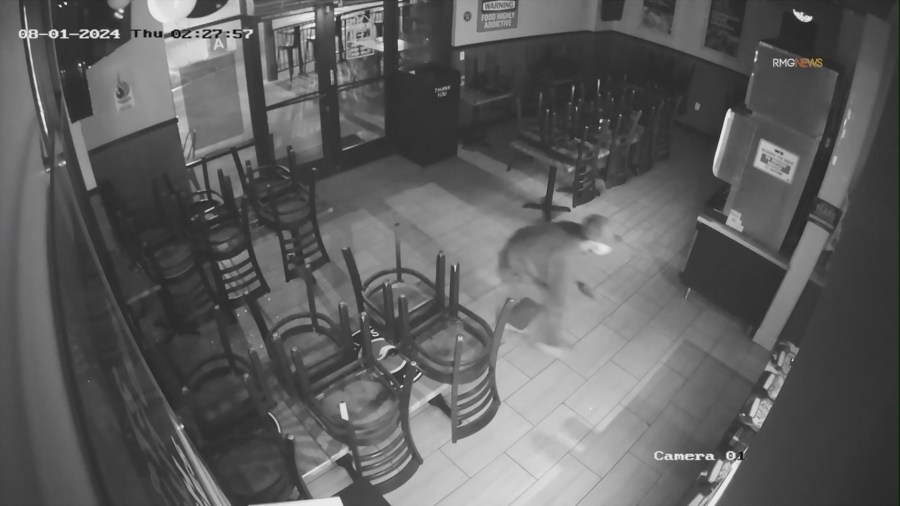 Security video captured a burglar crawling through a smashed window and heading straight to the cash register at Teriyaki Madness in the San Fernando Valley. (Teriyaki Madness)