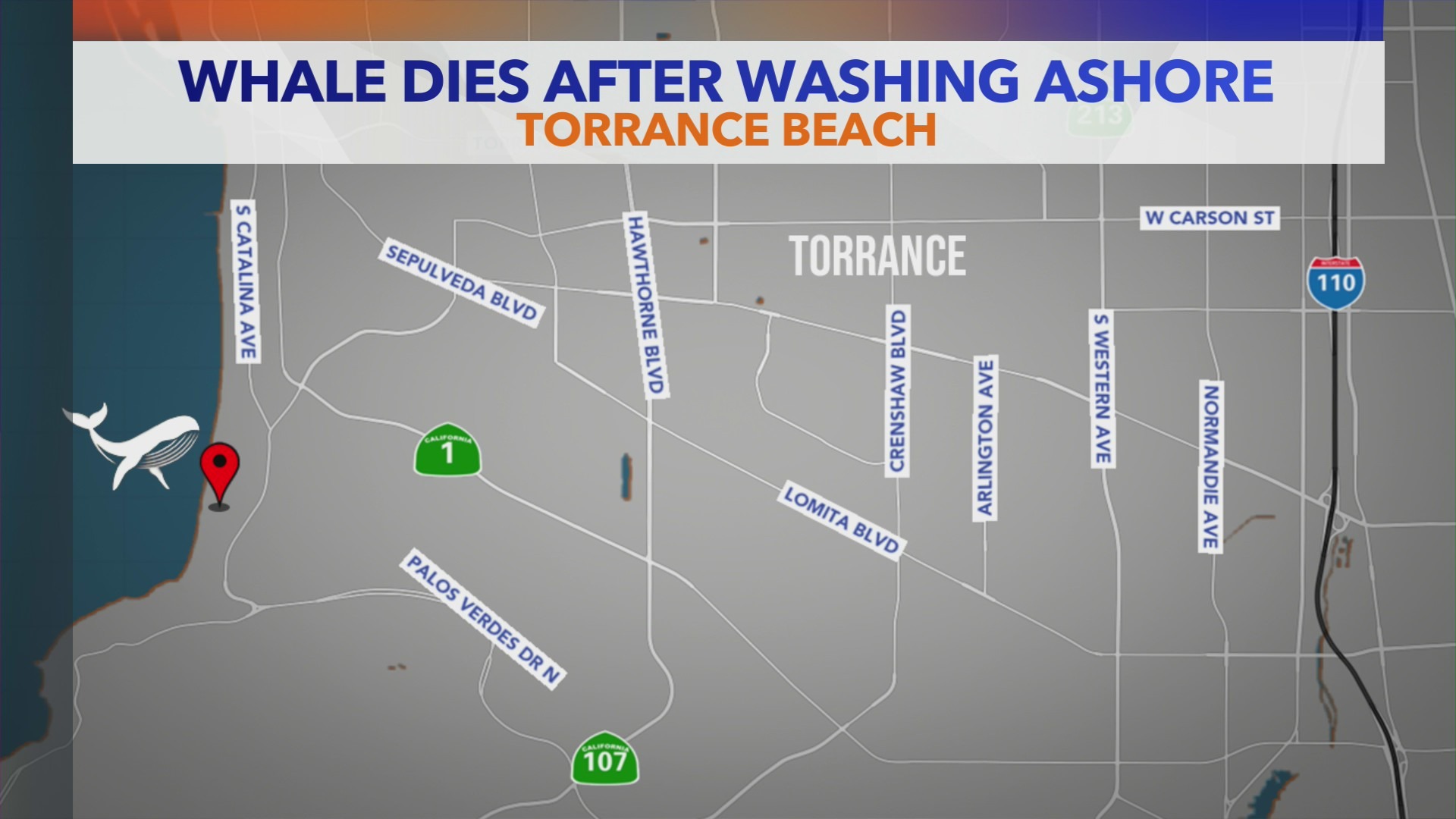 A map showing the location where a fin whale washed ashore in Torrance Beach on August 10, 2024. (KTLA)
