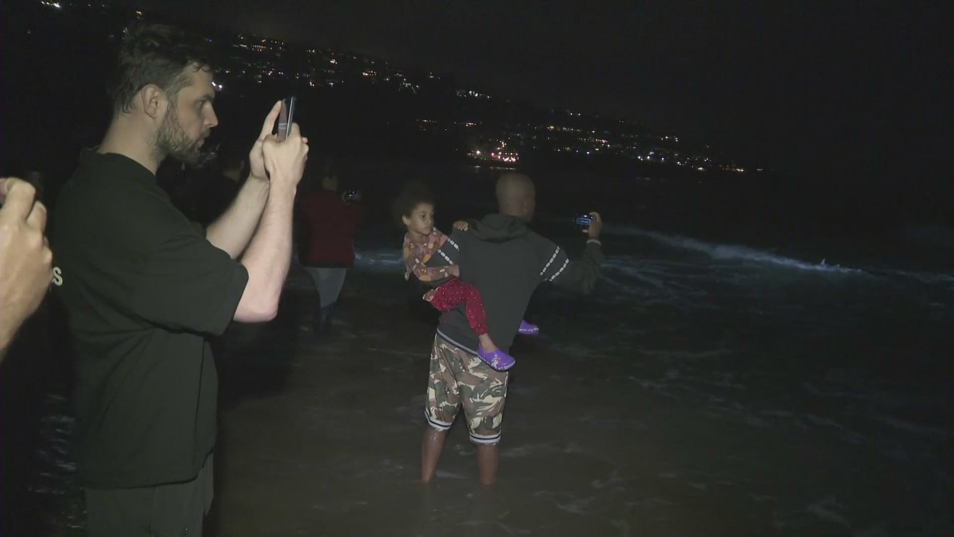 Beachgoers were stunned when a 40-foot fin whale washed ashore in Torrance Beach on August 10, 2024. (KTLA)
