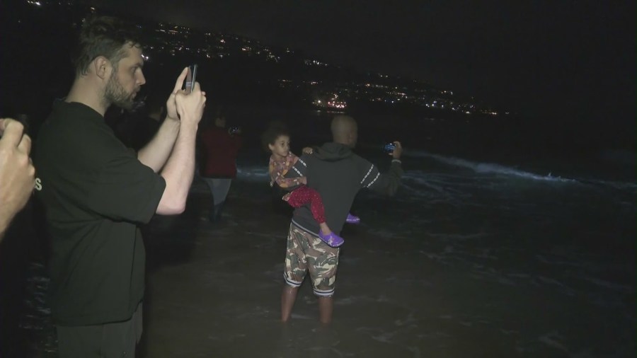 Beachgoers were stunned when a 40-foot fin whale washed ashore in Torrance Beach on August 10, 2024. (KTLA)