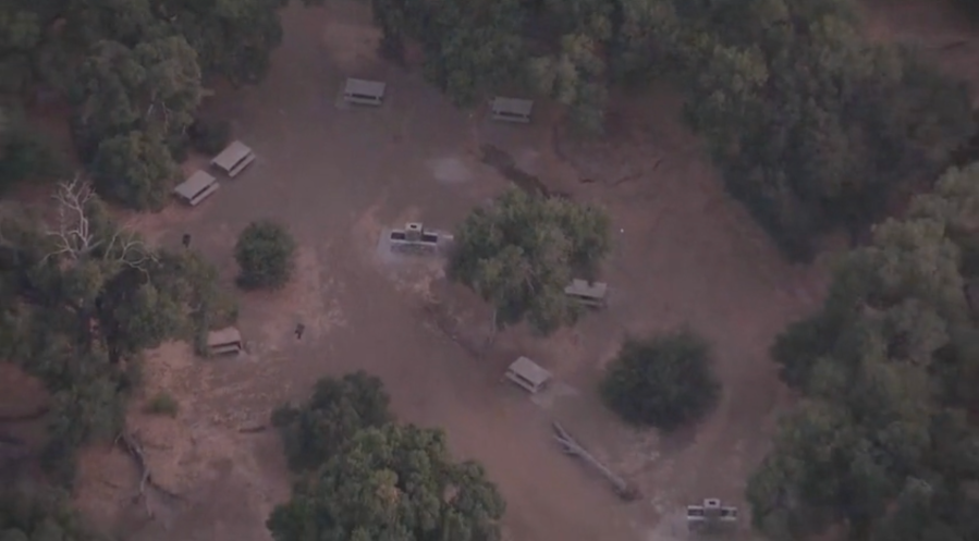 Malibu mountain lion attack