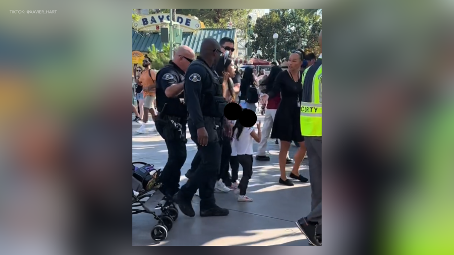 Disneyland arrest