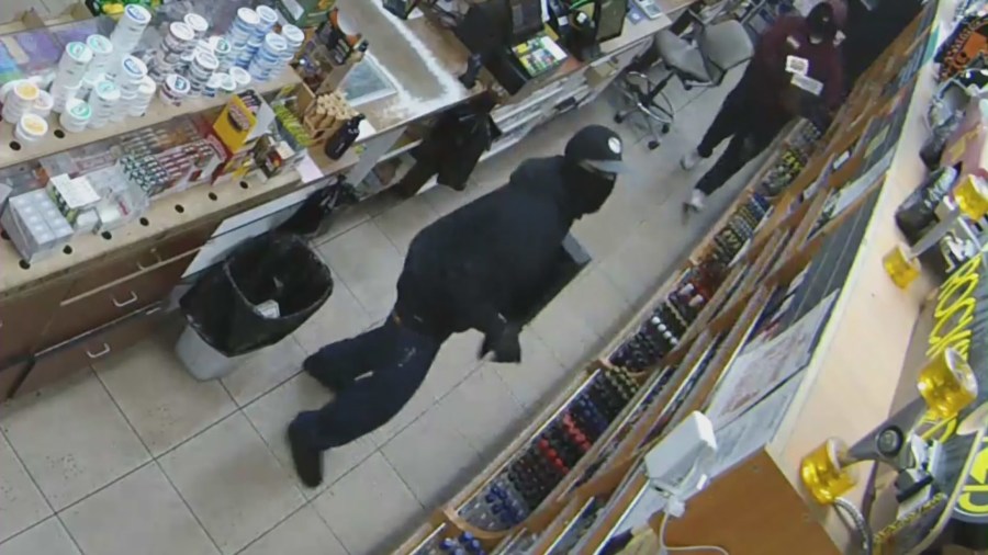 Burglars seen taking expensive liquor off store shelves and escaping with around $30,000 worth of liquor from SDV Liquor Market in Sunland. (Amal Mashhour)