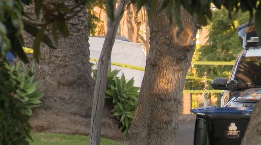 Fatal Mid-Wilshire shooting