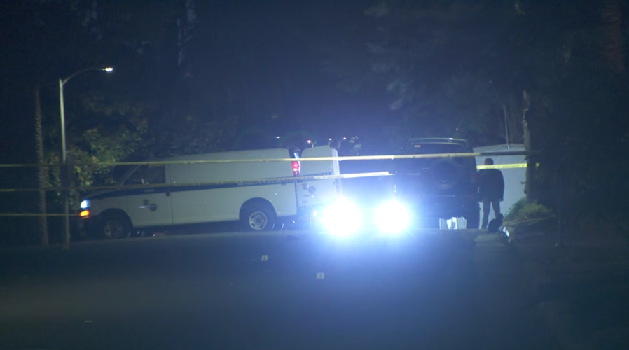 Fatal Mid-Wilshire shooting