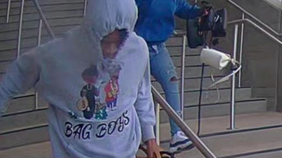 LAPD Flash-rob arrests