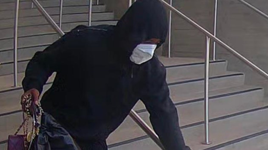 LAPD Flash-rob arrests