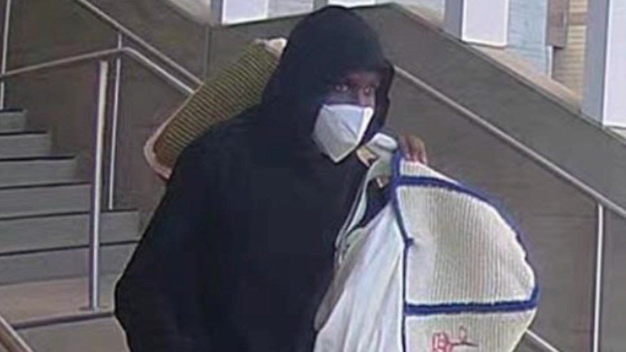 LAPD Flash-rob arrests