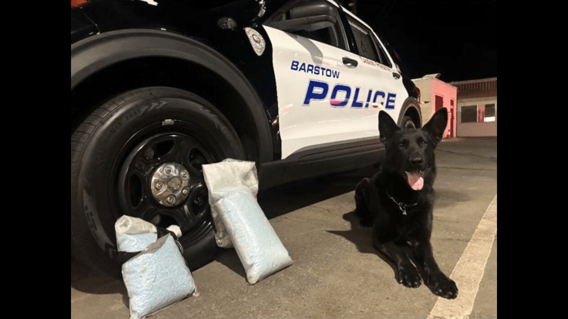A police K9 helped uncover approximately 86,000 illegal fentanyl pills inside a suspect's vehicle in San Bernardino County. (Barstow Police Department)