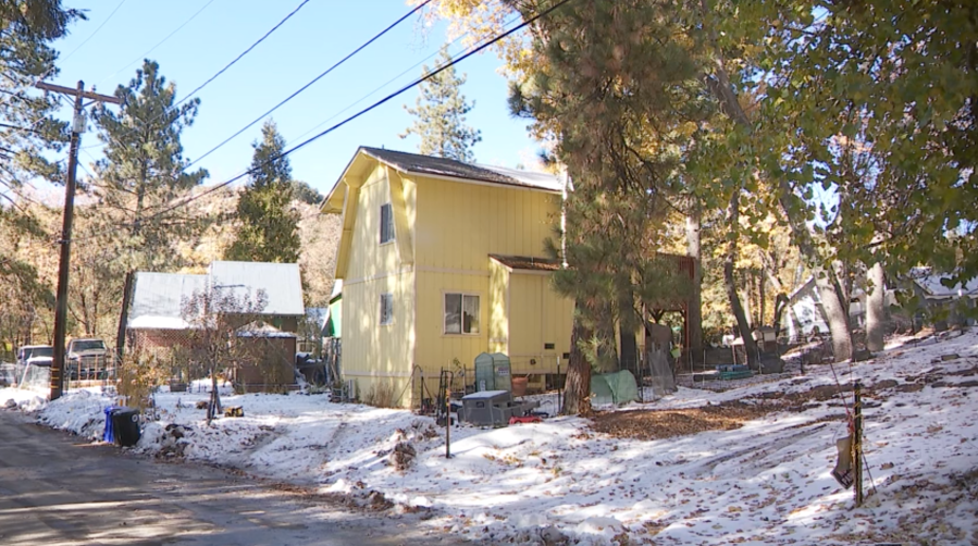 Bear shot in San Bernardino Mountains