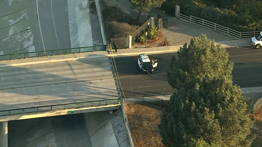 Paramount homicide investigation