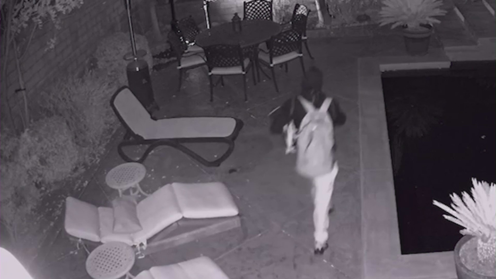 Home security cameras captured a male suspect trepassing through a backyard.