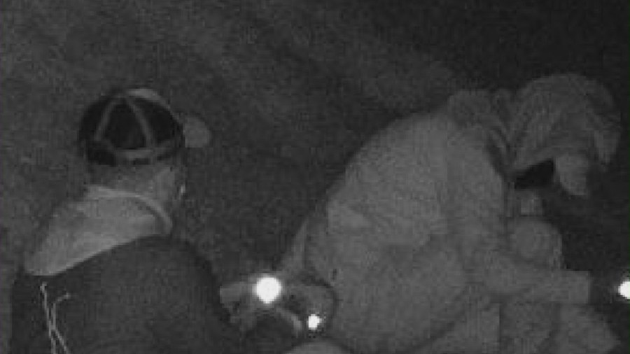 Several burglary suspects were captured on surveillance video after breaking into homes in a Valencia neighborhood.