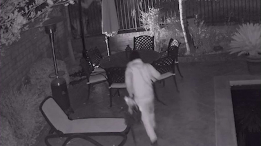 Home security cameras captured a male suspect trepassing through a backyard.