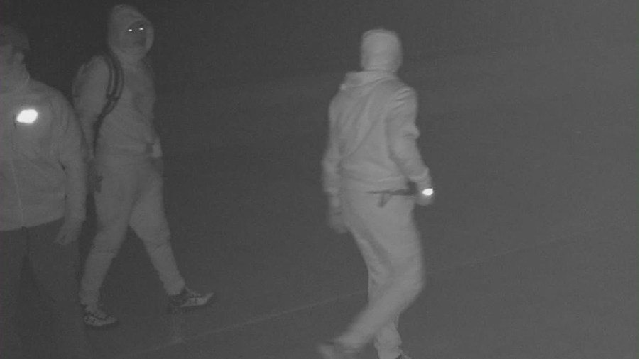 Several burglary suspects were captured on surveillance video after breaking into homes in a Valencia neighborhood.