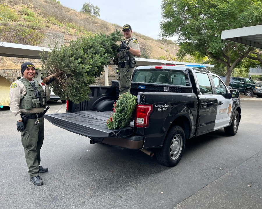 Santa Barbara County Sheriff's deputies pose with a stolen Christmas tree that was recovered on Dec. 11, 2024. (Santa Barbara County Sheriff's Office)