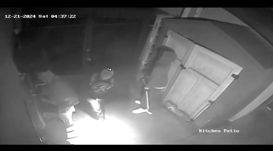 Harold & Belles burglary