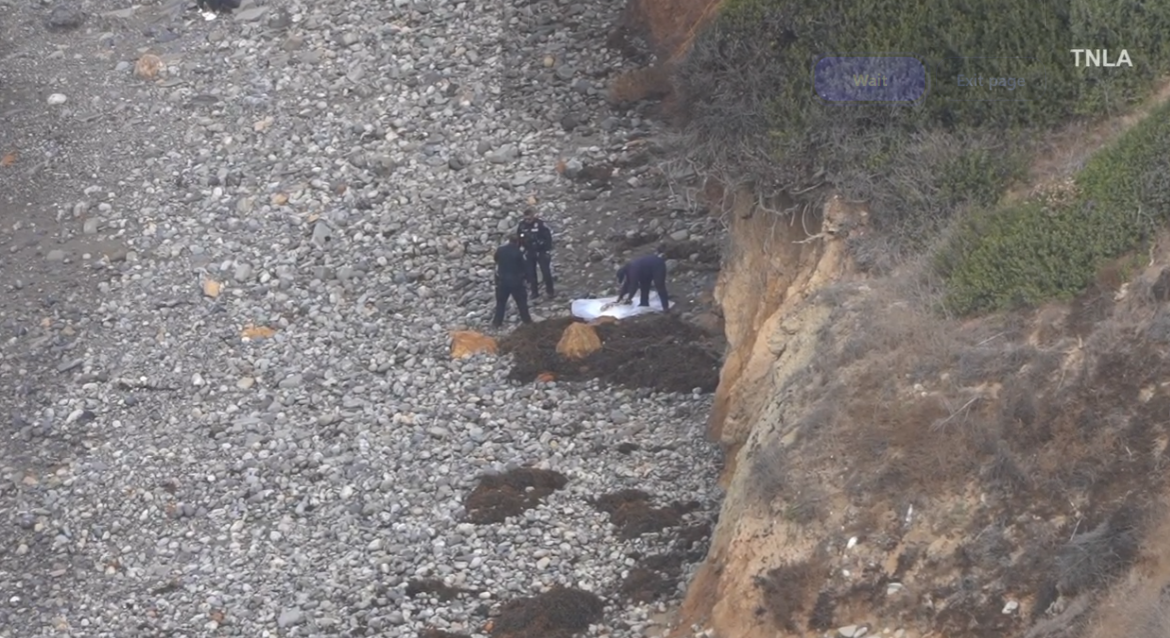 Palos Verdes Estates found leg