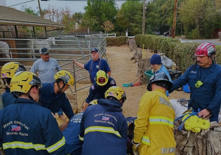 Orange City Fire Department crews worked to rescue a horse that became trapped underneath a fence on Dec. 23, 2024. (Orange City Fire Department)