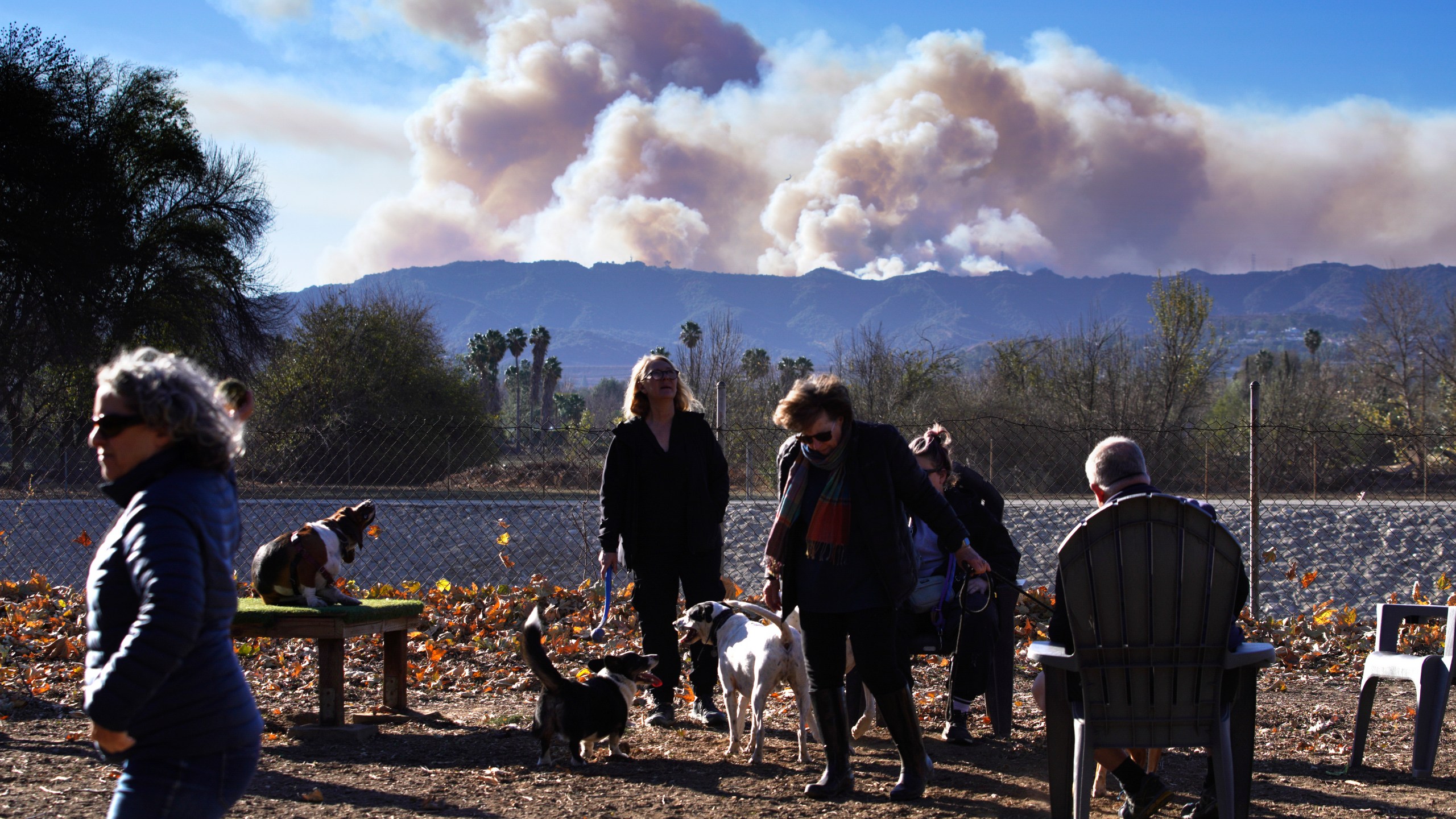 Residents and their dogs from a dog park keep watch as smoke from the Palisades Fire rises over a ridge in the Encino section of Los Angeles on Saturday, Jan. 11, 2025. (AP Photo/Richard Vogel)