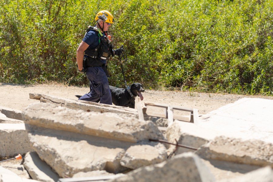 Search dog Ridge and his human handler, Eric Lieuwen, search rubble in a training exercise at Search Dog Foundation in Santa Paula on July 30, 2024. (Search Dog Foundation)
