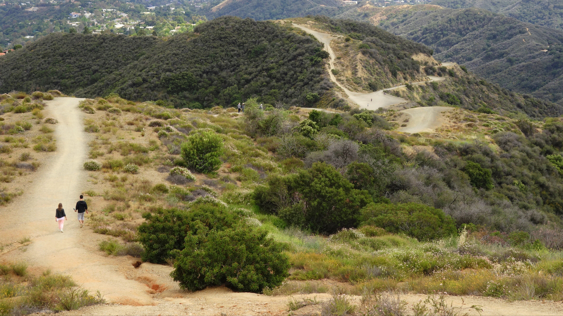 SoCal LA hiking trail hills