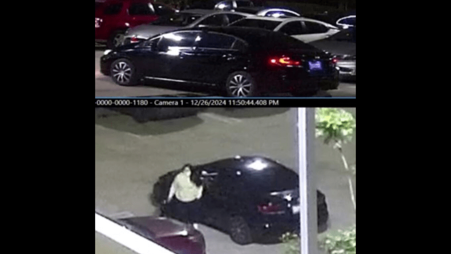 A woman wanted in connection with a series of destructive vehicle burglaries across the Inland Empire was arrested on Jan. 22, 2025. (San Bernardino County Sheriff's Department)