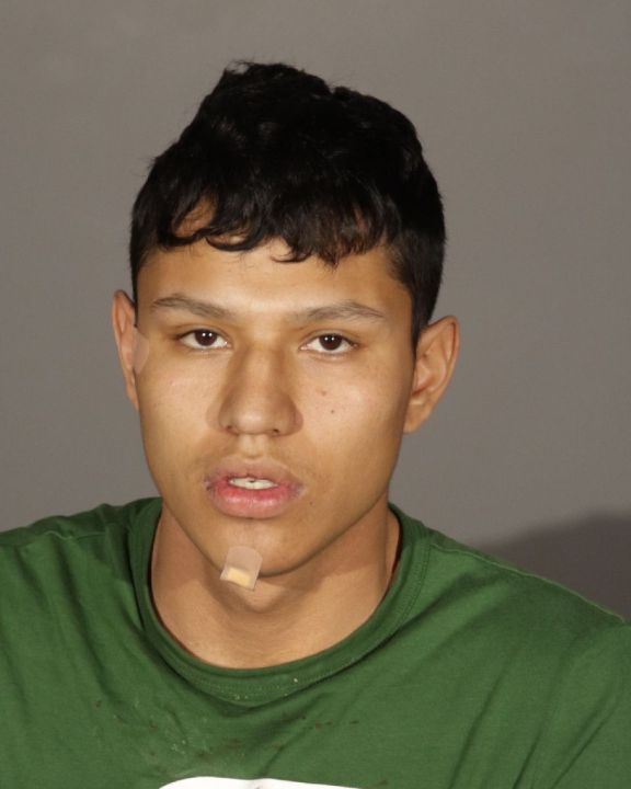 Matias Jesus Soto-Barraza, 22, of Los Angeles is shown in this mugshot provided by the Glendale Police Department on Jan. 29, 2025.