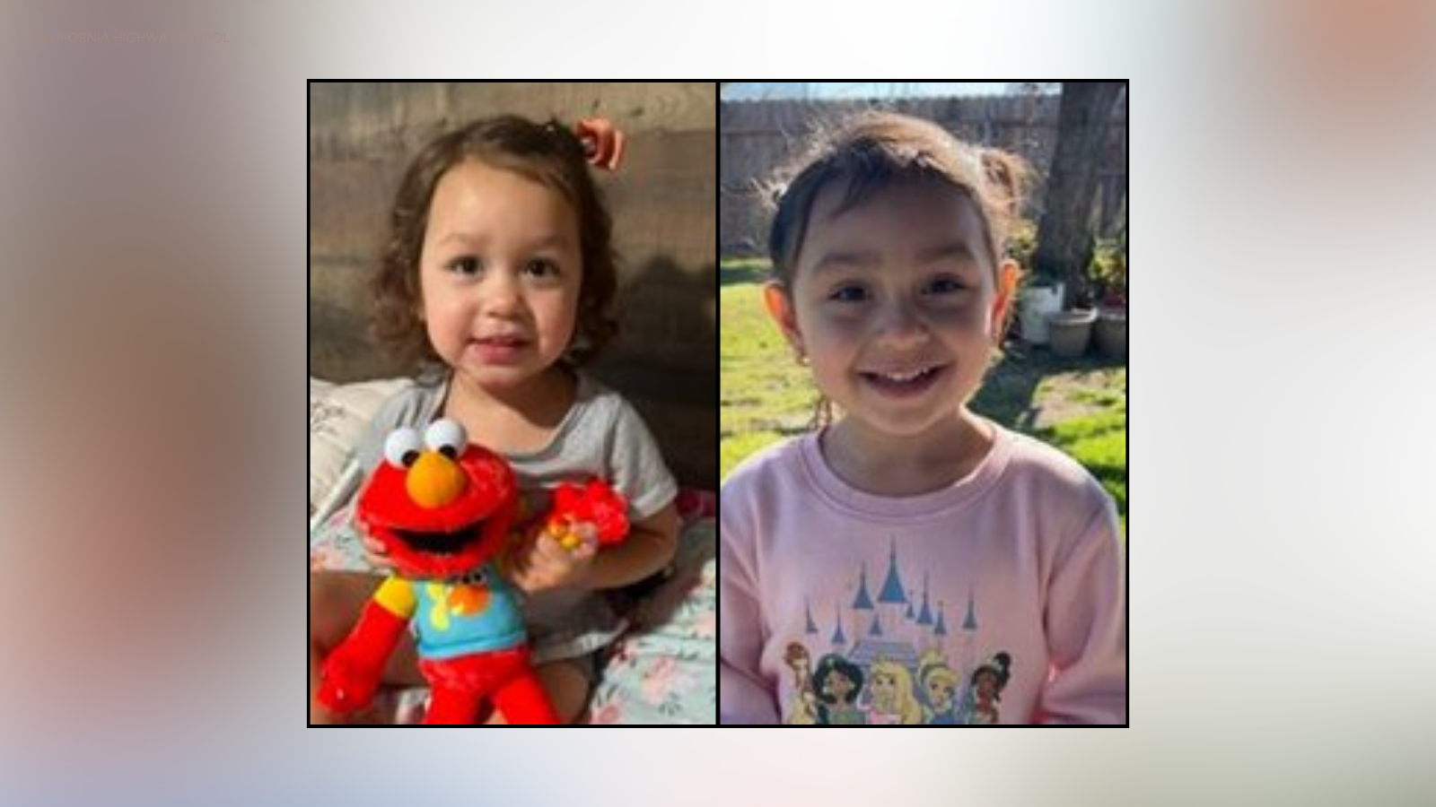 Alana, 2, and Arya, 3, were allegedly taken from their home in Hanford by their father, who is believed to have shot and killed his ex-girlfriend on Jan. 27, 2025. (California Highway Patrol)