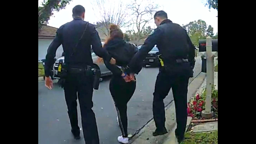 Brandie Nicole Dillman, 33, was arrested for her alleged involvement in leading police on a pursuit in a stolen vehicle in Orange County. (Irvine Police Department)