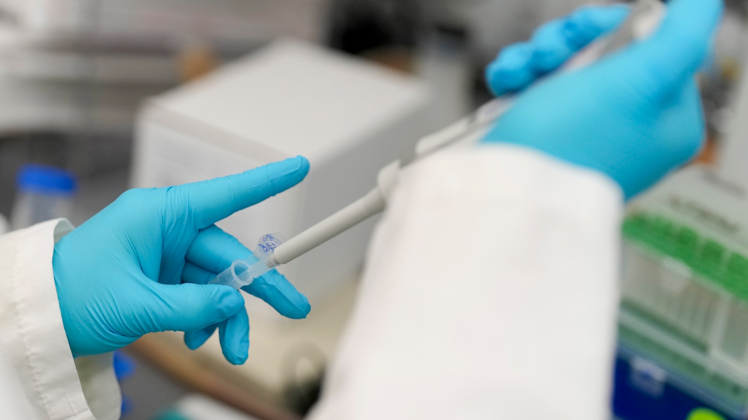 A student runs a test at Duke University pharmacology and cancer biology professor Donald McDonnell's lab Tuesday, March 4, 2025, in Durham, N.C. (AP Photo/Chris Carlson)
