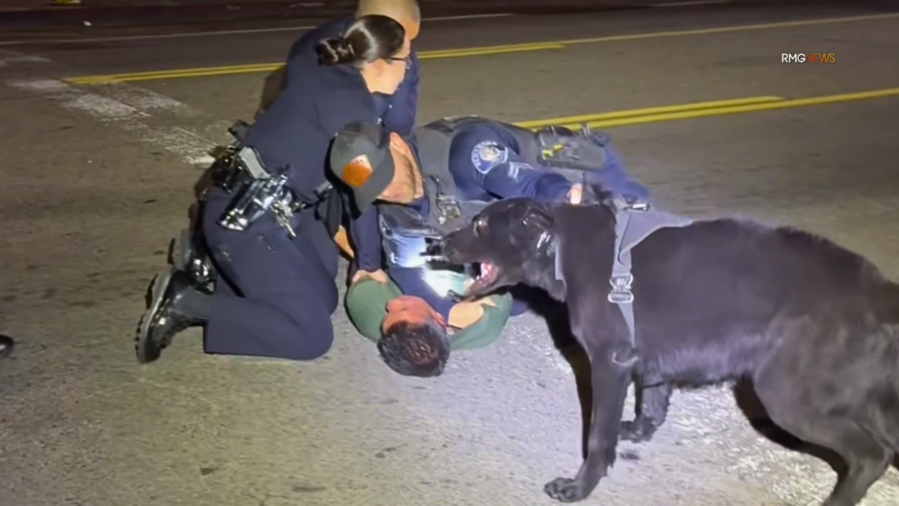 Alhambra to East Hollywood pursuit