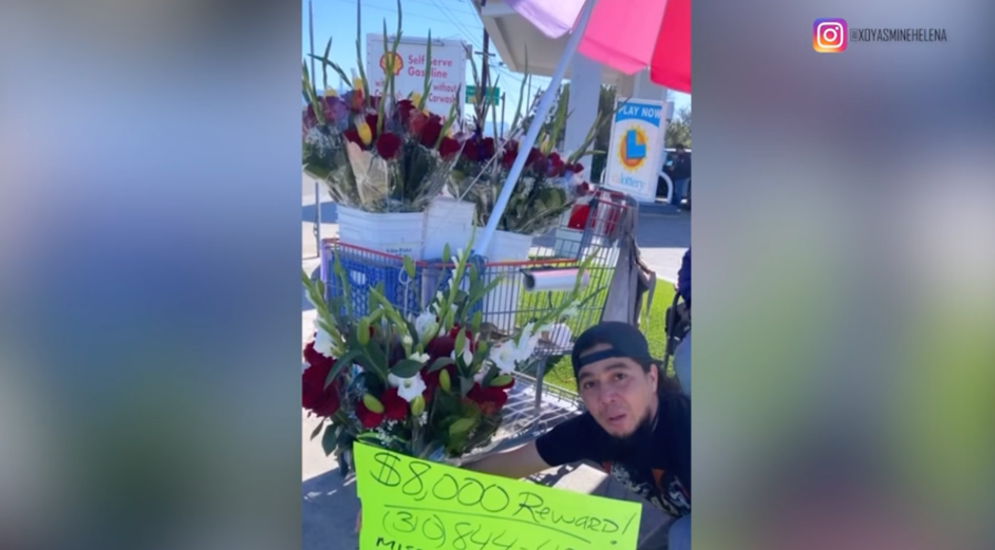 French Bulldog reunion