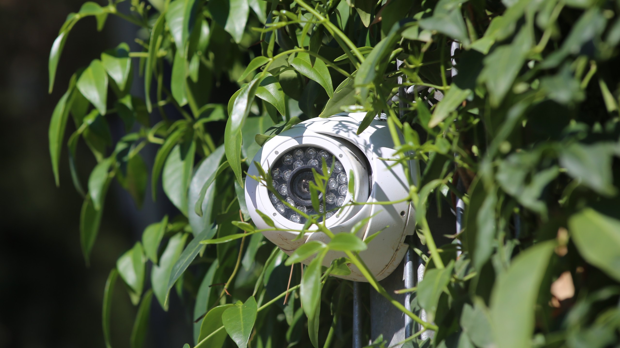 FILE – Security camera on a green fence of a villa in a residential Quarter. Ceiling mounted infra-red night vision CCTV camera. Security system for residence guarding. (Getty Images)