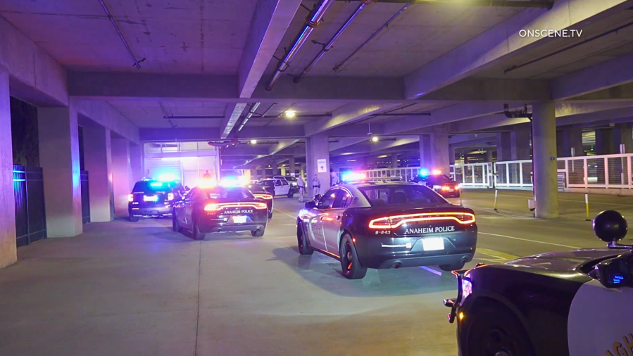 Pixar pursuit Disneyland