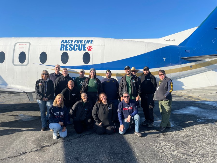 Riverside County Department of Animal Services flew 42 large dogs to New York on March 13, 2025, for a chance at adoption and to alleviate crowding at local shelters. (Riverside County Department of Animal Services)