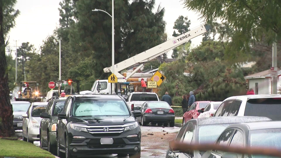 Crews worked to clear debris and downed trees after a tornado touched down in a Pico Rivera neighborhood on March 13, 2025. (KTLA)