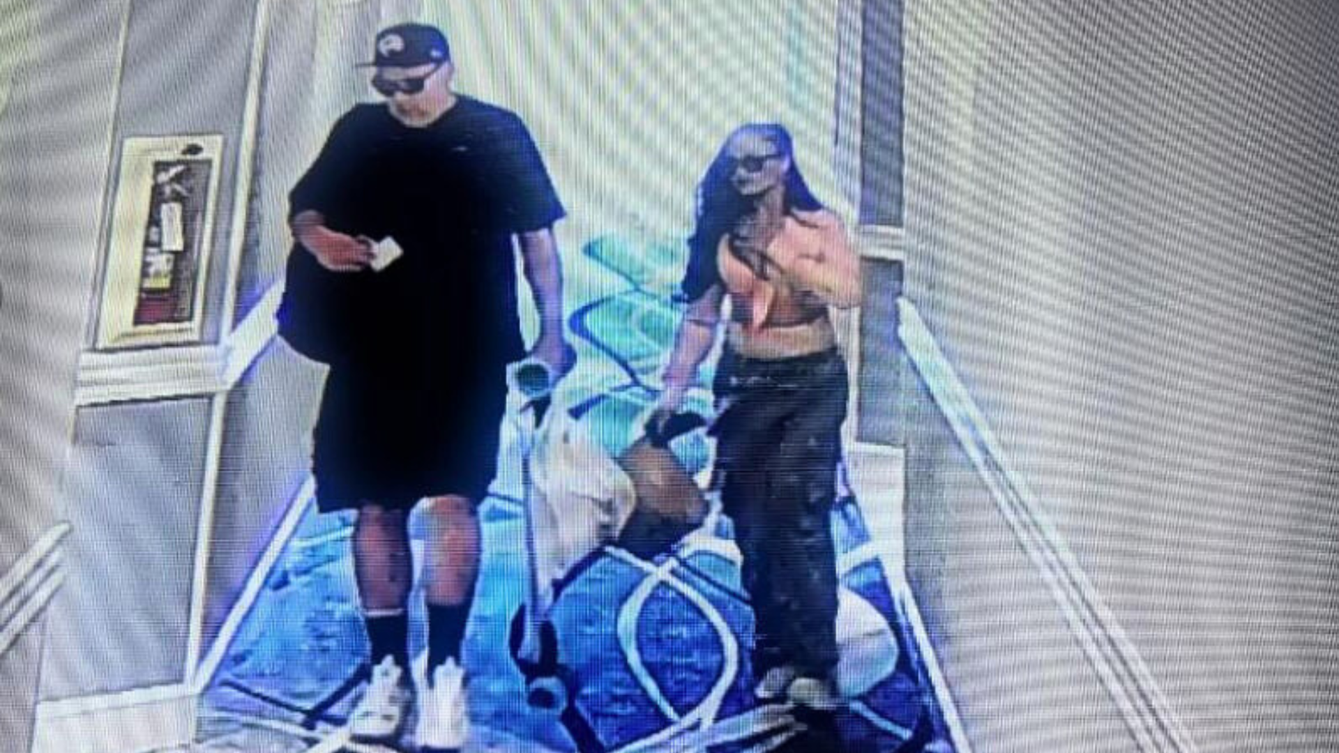 Two suspects were arrested for widespread credit card theft and identity fraud that targeted victims across Orange County. (Costa Mesa Police Department)