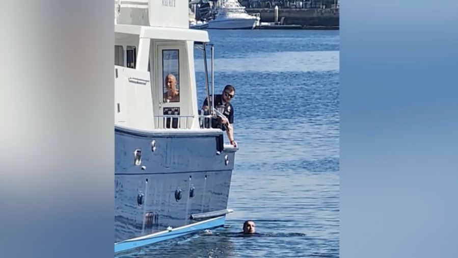 One of the suspects in a pursuit in Orange County is detained by law enforcement after attempting to flee by diving into the harbor on March 21, 2025. (Jim Murphey)