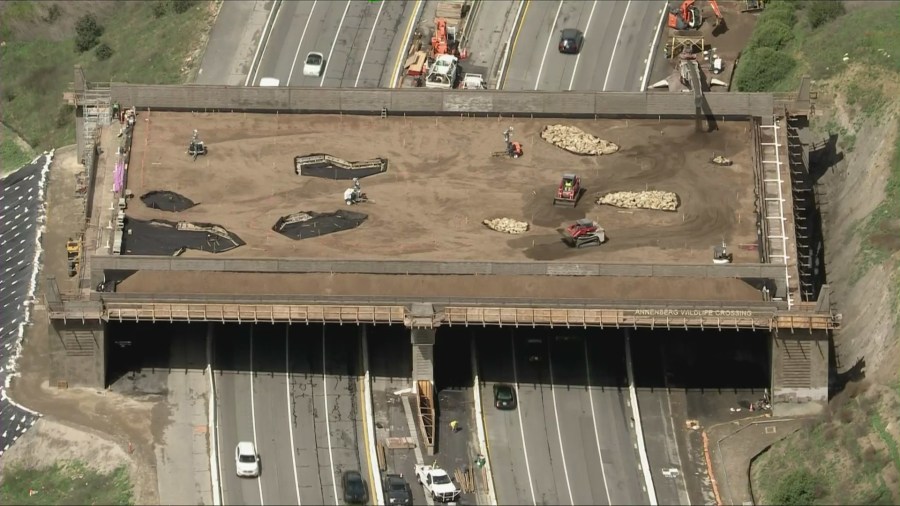 Aerial footage from Sky5 provided a view of crews working to lay more than 6,000 cubic yards of soil atop the Annenberg Wildlife Crossing on March 31, 2025. 