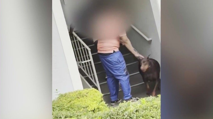 The man has waited outside Alejandra Feliciano's front door and garage door with his Doberman to harass them. (Alejandra Feliciano)