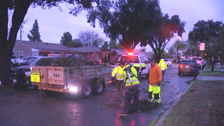 Crews worked to clear debris and downed trees after a tornado touched down in a Pico Rivera neighborhood on March 13, 2025. (KTLA)