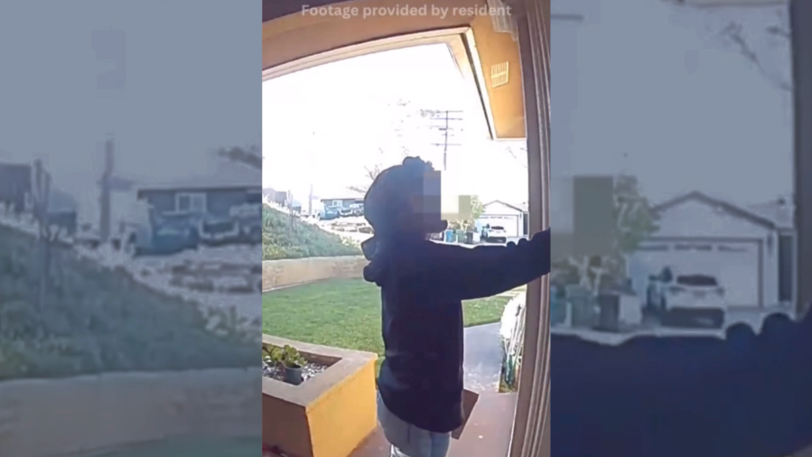 Alhambra burglary suspect